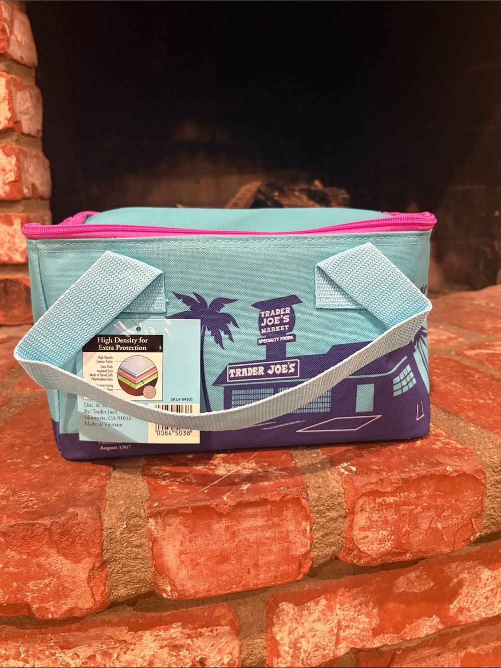 Trader Joe's Teal and Purple Insulated Lunch Cooler